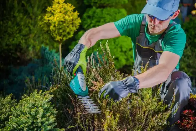 landscaping services Buchanan